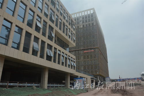 多向發力，激活內江軟件外包服務新動能